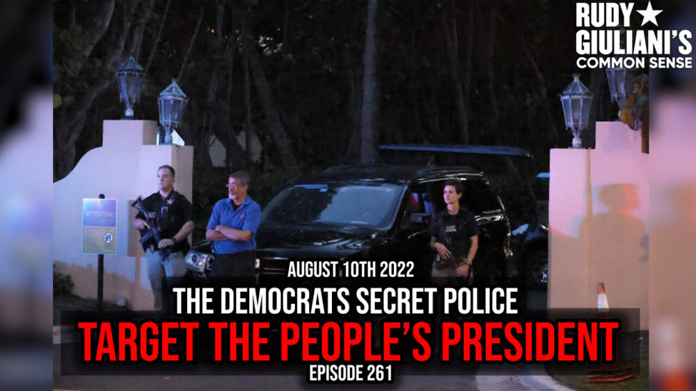 befkf-qr4e-small-the-democrats-secret-police-2