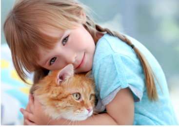5-Yr-Old Sends Letter To Cat In Heaven - Vimarsana News
