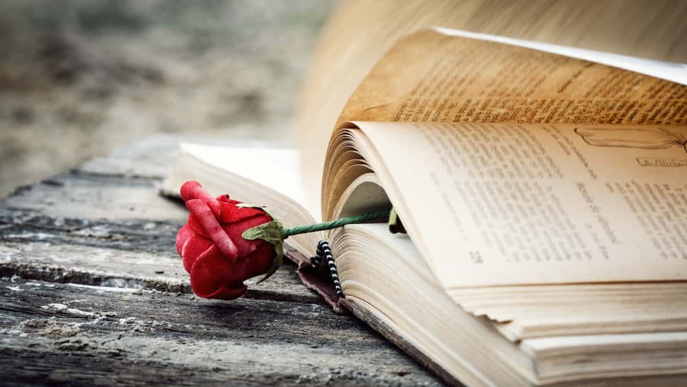 Romance Novelist Judith Krantz Dies At 91 Romance Novelist Judith Krantz Dies At 91