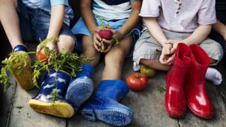 group-of-kindergarten-kids-little-farmers-learning-gardening