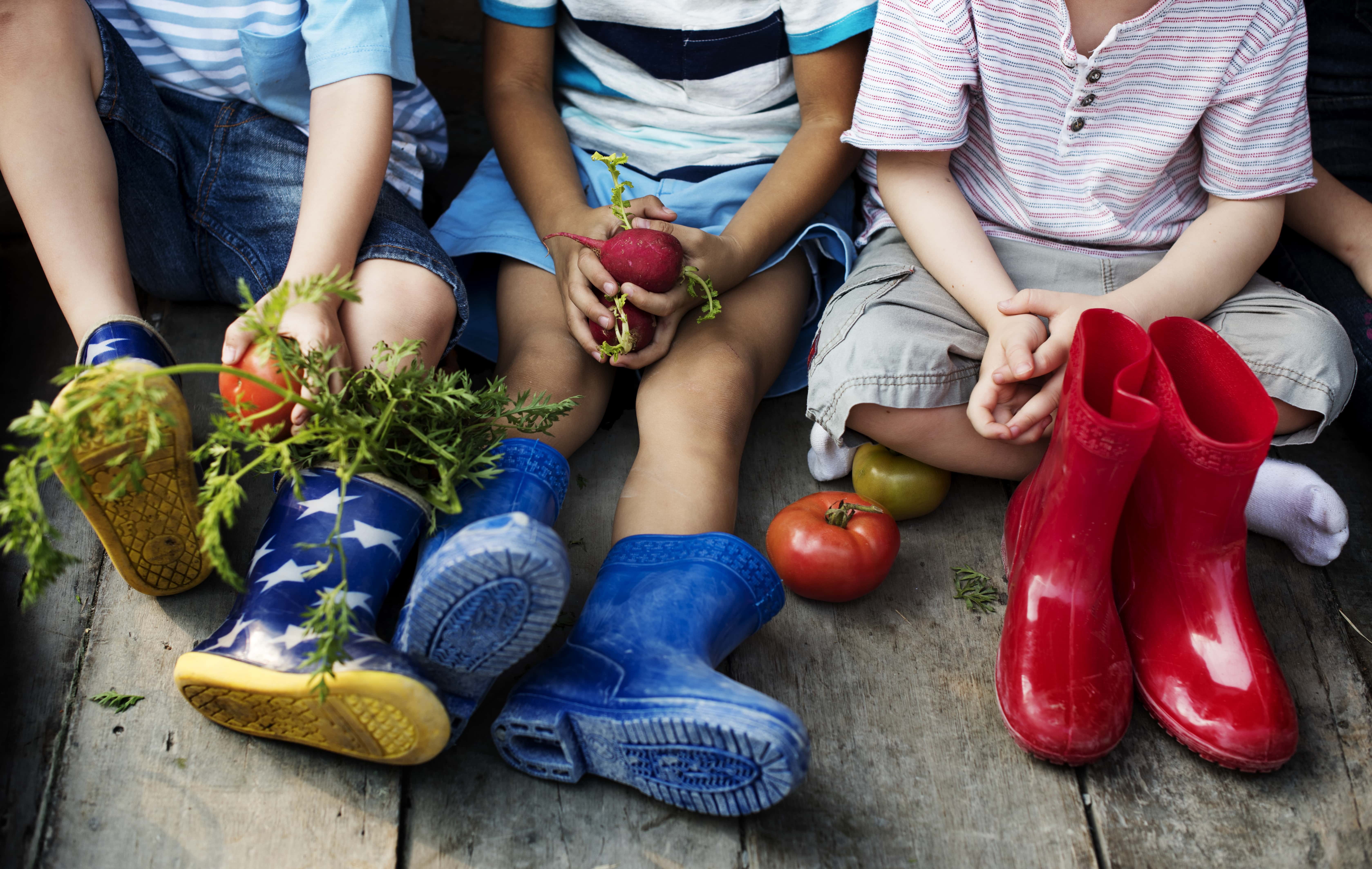 group-of-kindergarten-kids-little-farmers-learning-gardening
