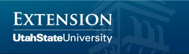 usuextension
