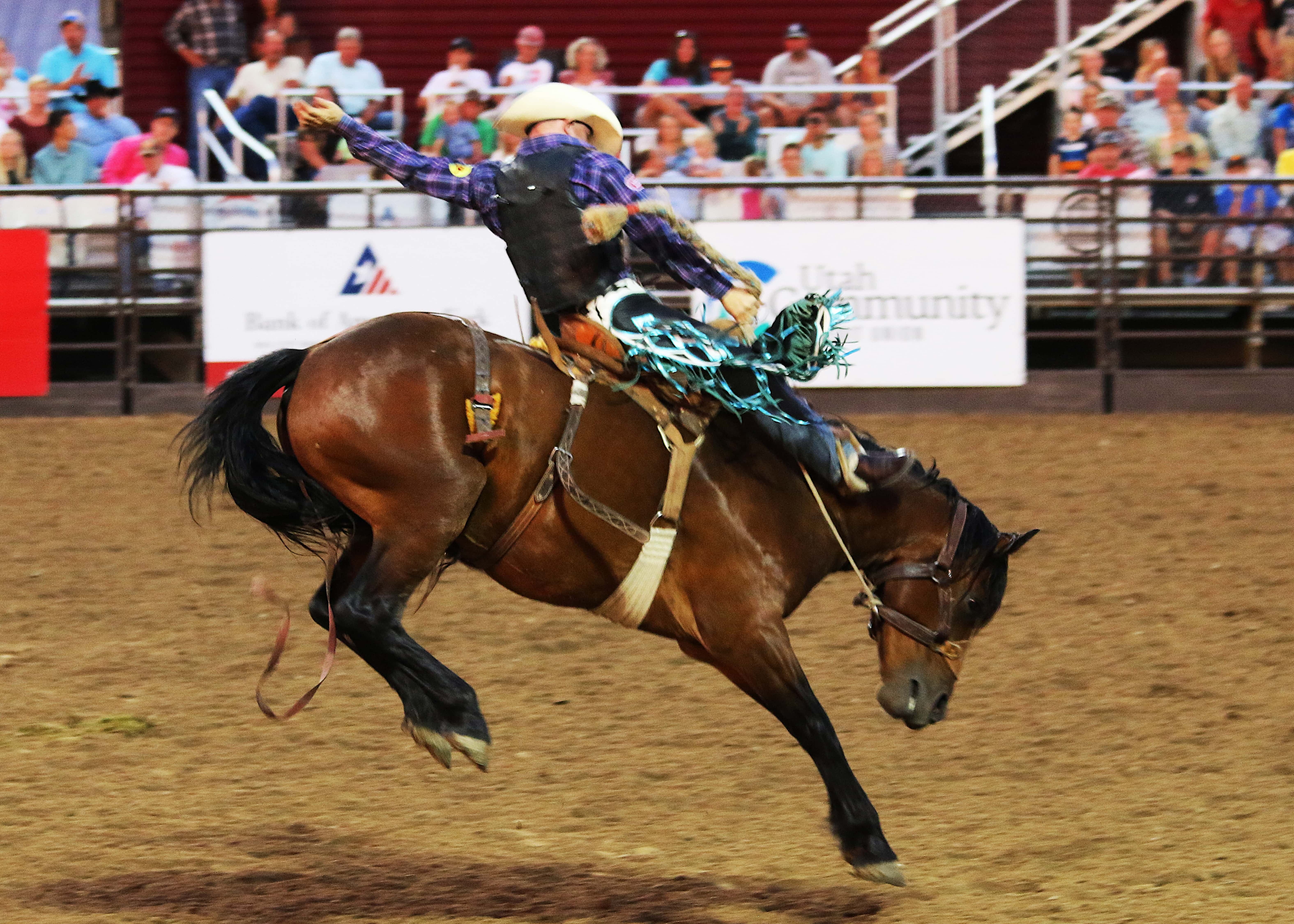 spectators-watching-cowboys-wild-ride-bucking-bron-8cmf3dw