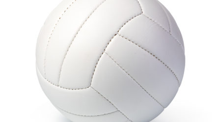 volleyball-ball