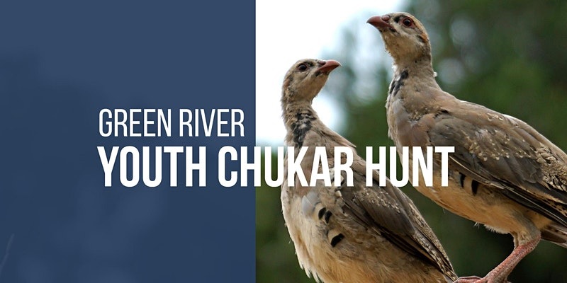 chukar-hunt