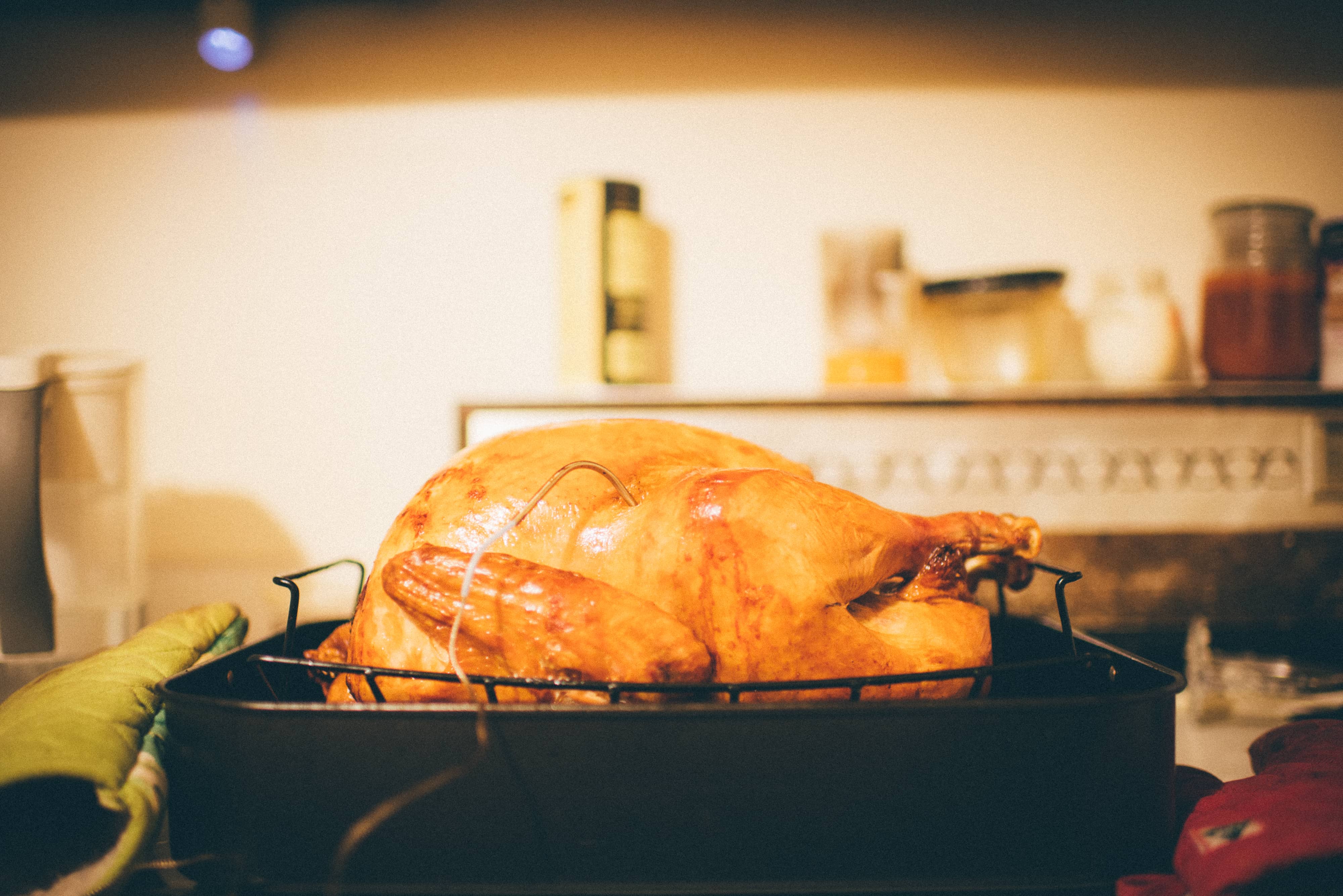 thanksgiving-turkey-rt392ay