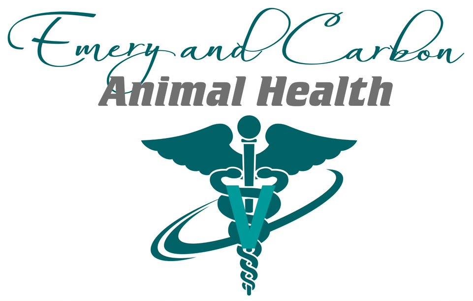 carbon-emery-animal