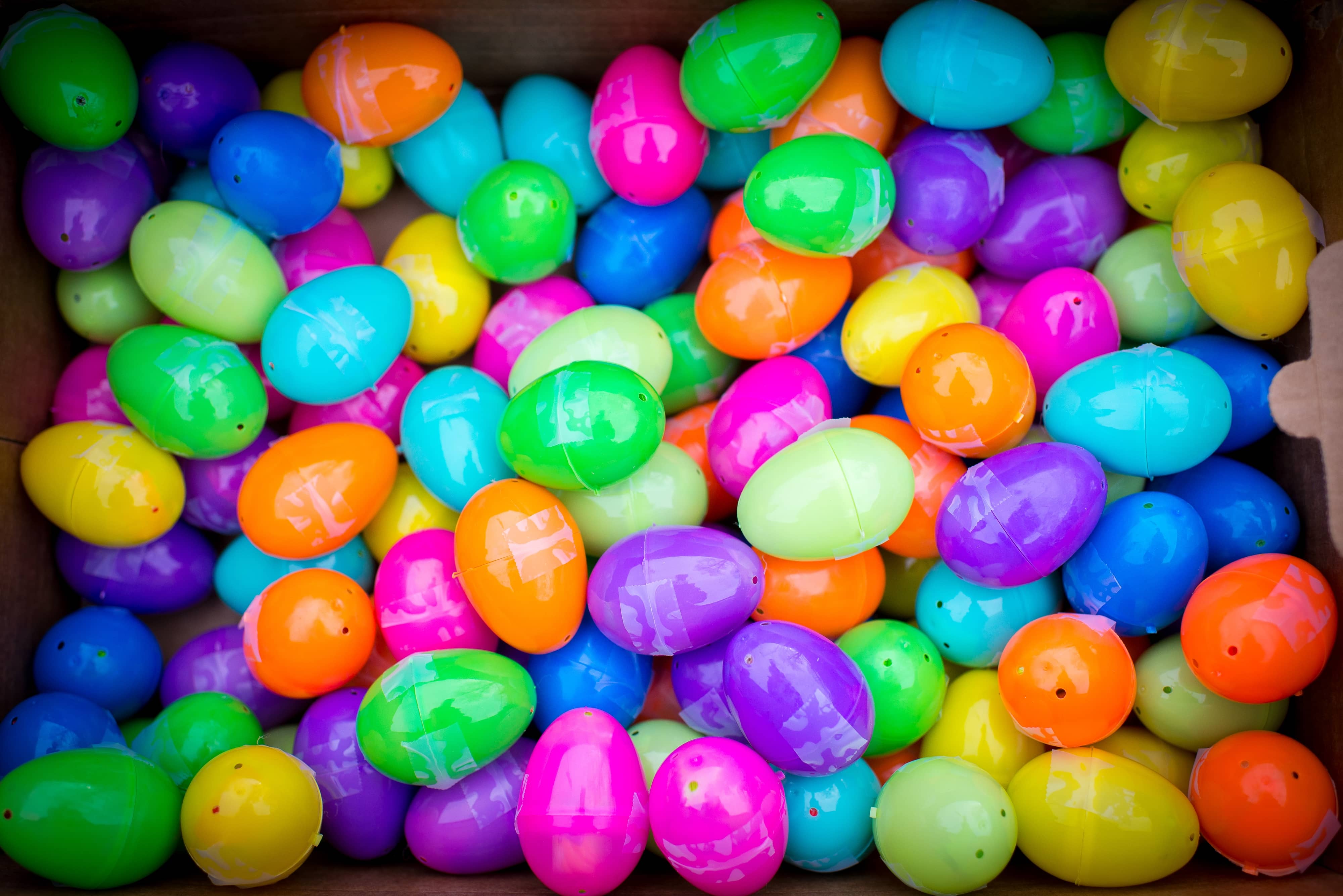 easter-egg-hunt-3psvcz4
