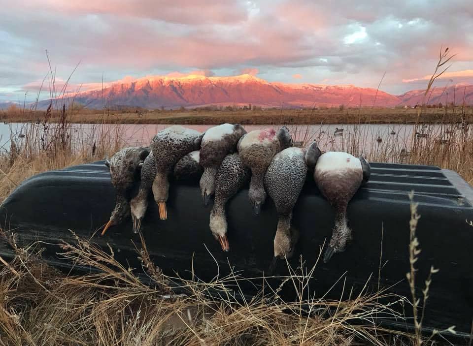 waterfowl-hunt-2