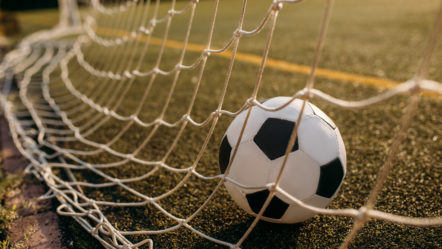 soccer-ball-in-the-gate-net-nobody