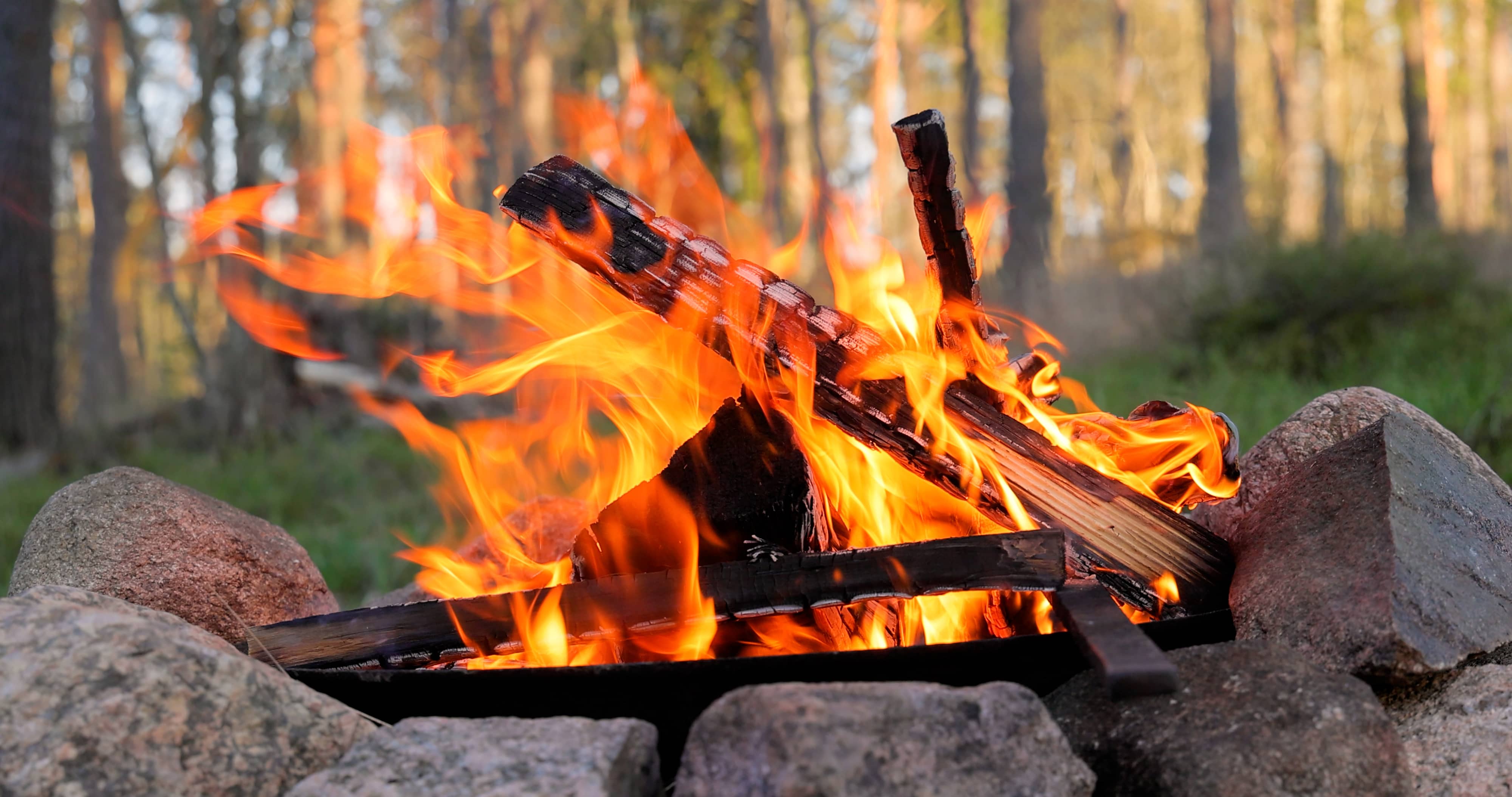 burning-campfire-in-the-forest