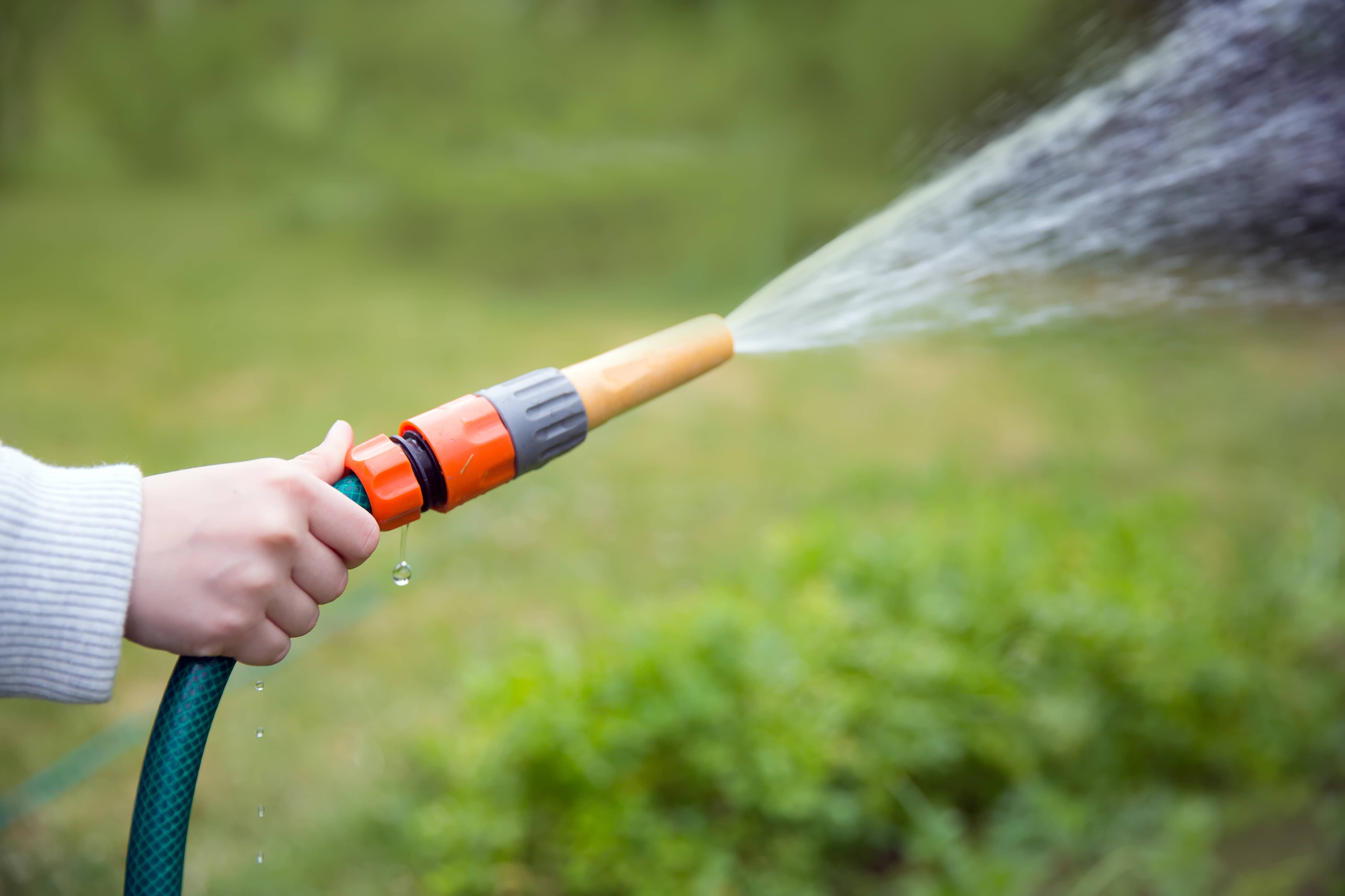watering-the-garden-2