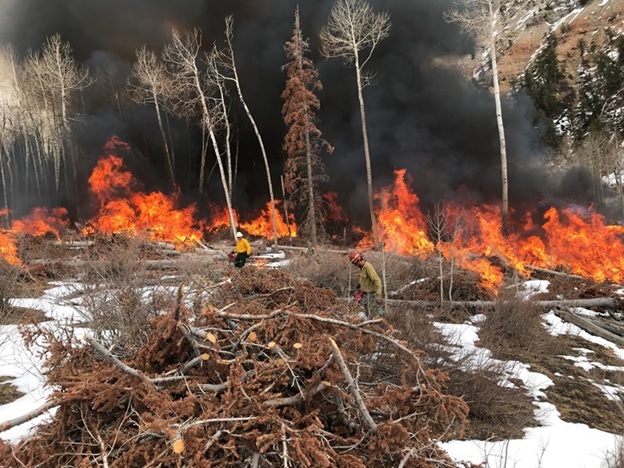 prescribed-fire