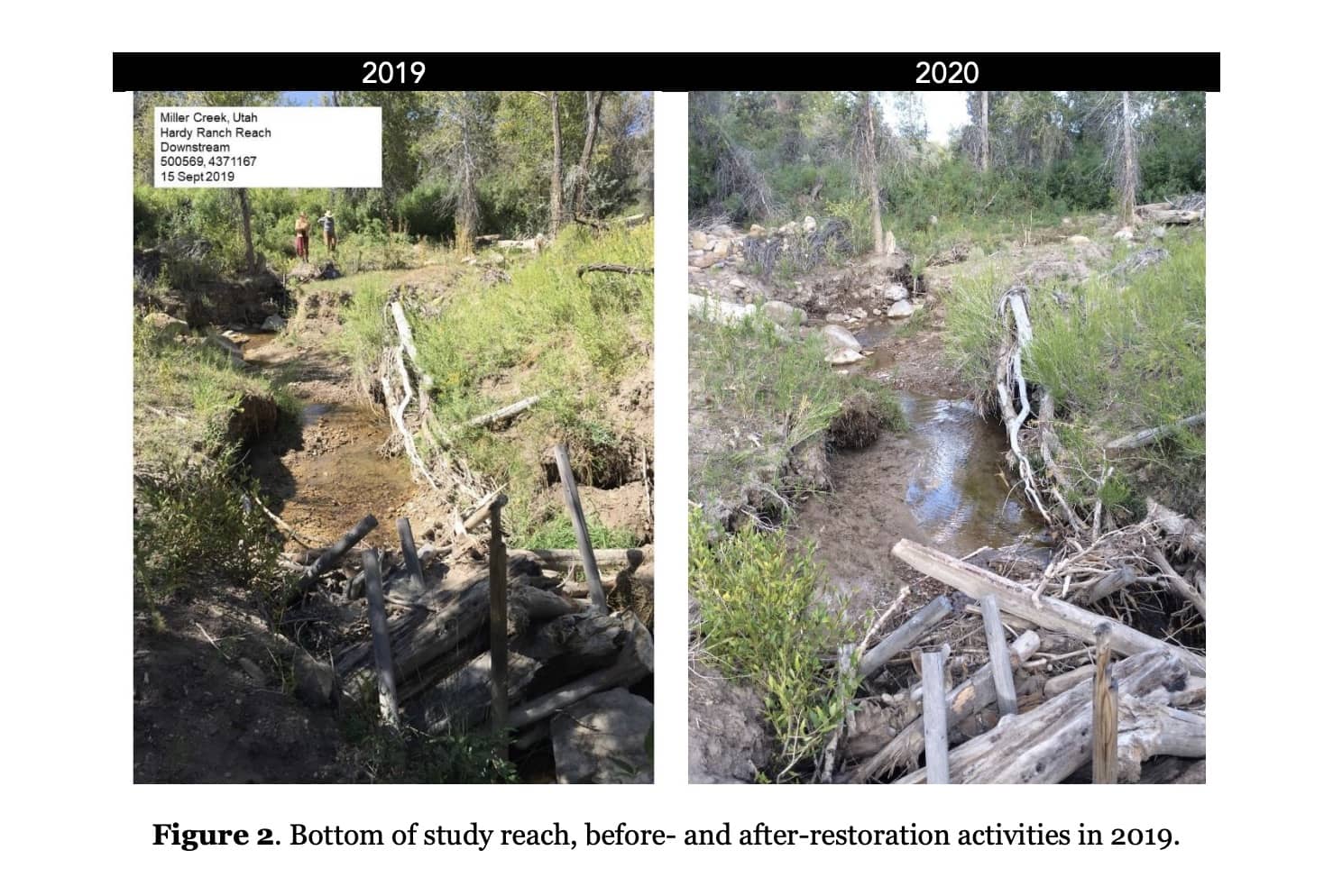 miller-creek-restoration-after-2012-seeley-fire-1