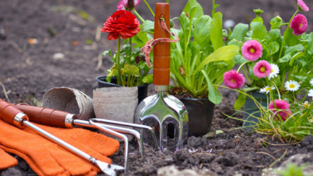 gardening-tools-and-spring-flowers-in-the-garden-gardening-conc-2