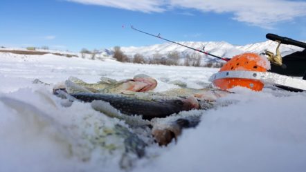 ice-fishing-part-2