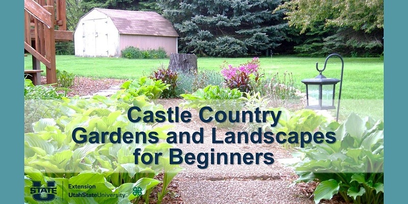 garden-and-landscapes