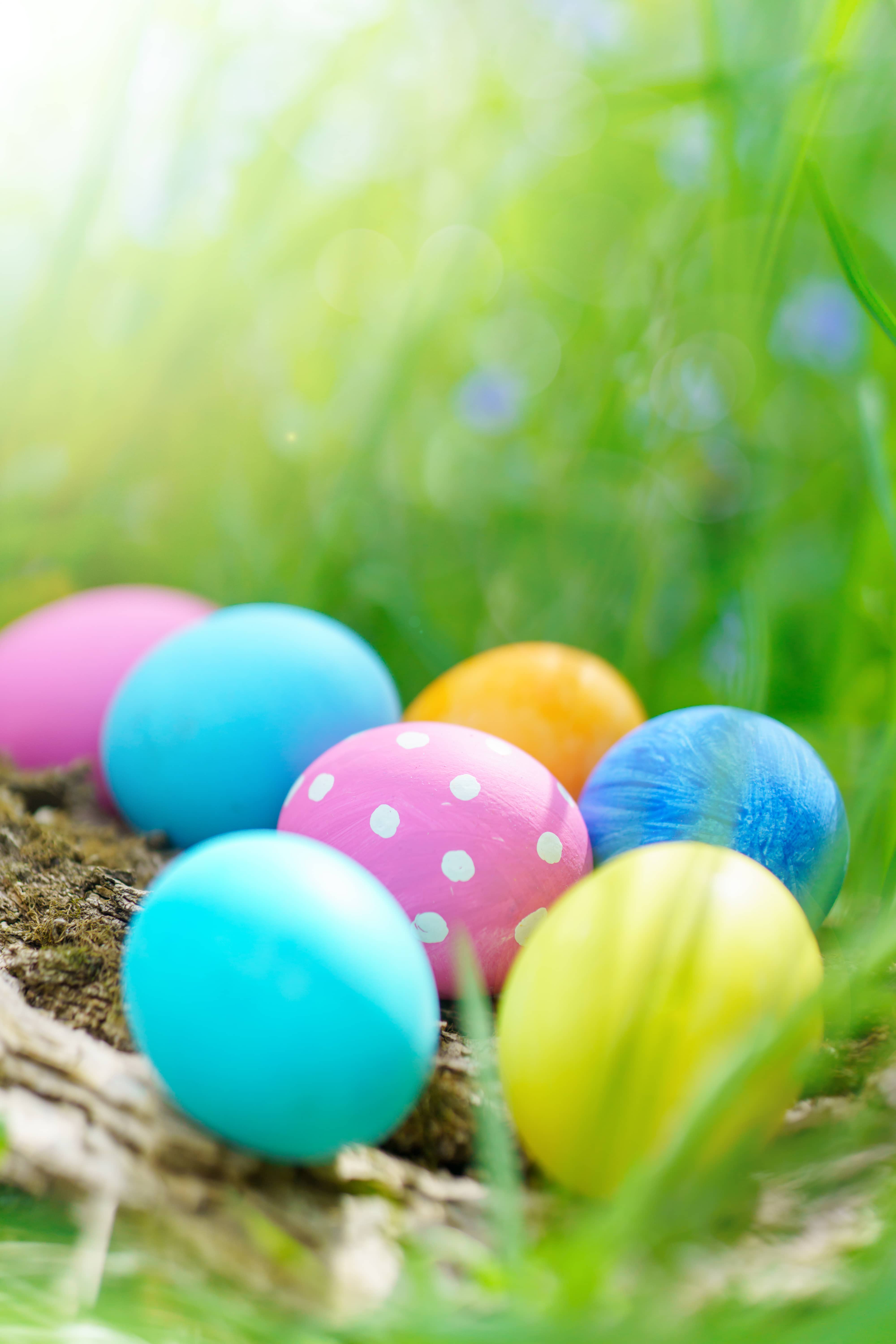 Easter Egg Hunt for local kids on Saturday April 16 at Washington Park