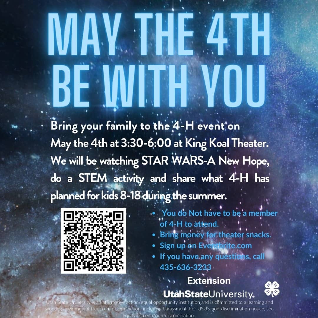 may-the-fourth-be-with-you