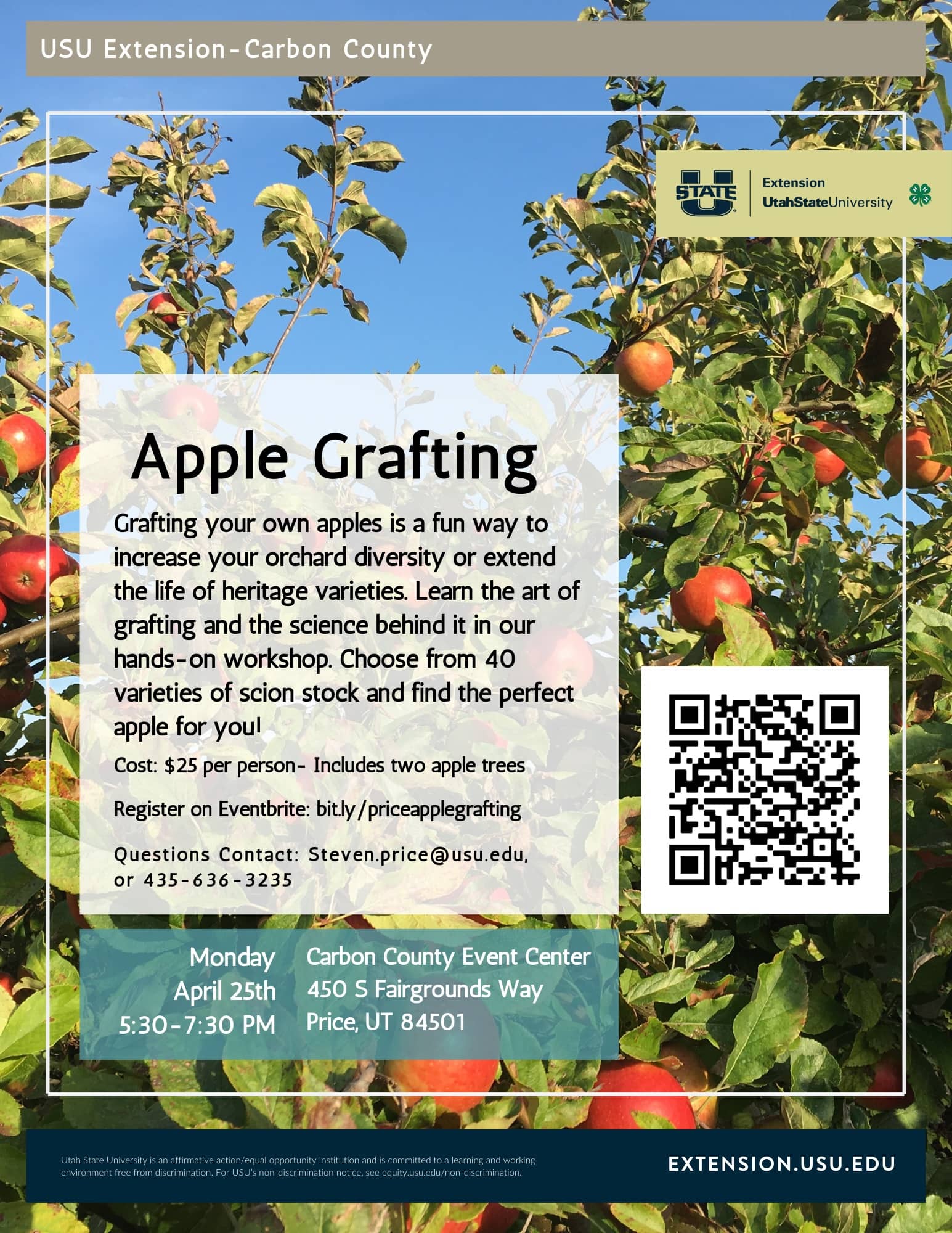 apple-grafting