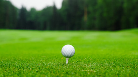 golf-ball-on-the-golf-course