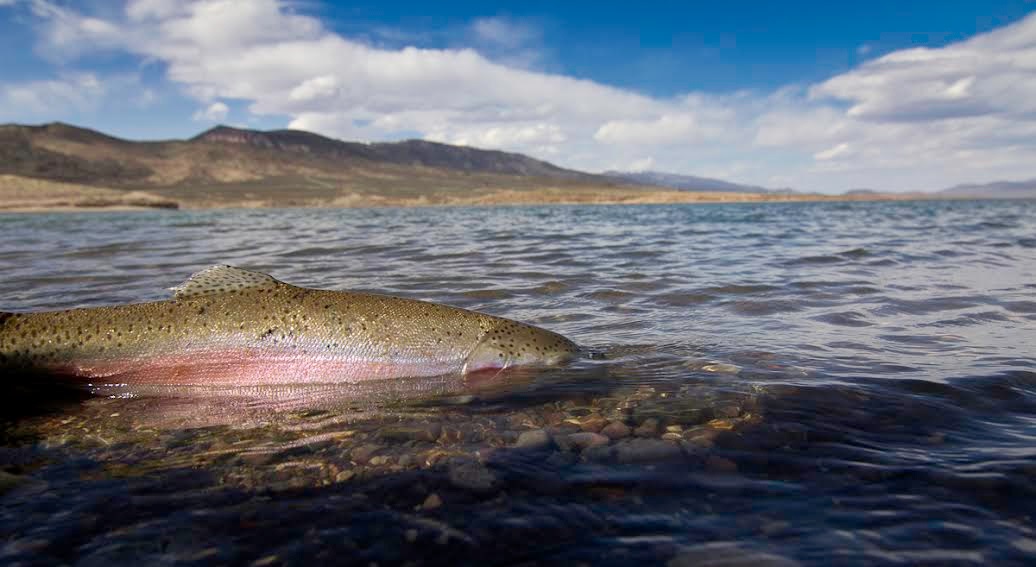 04-05-19-spring-fishing