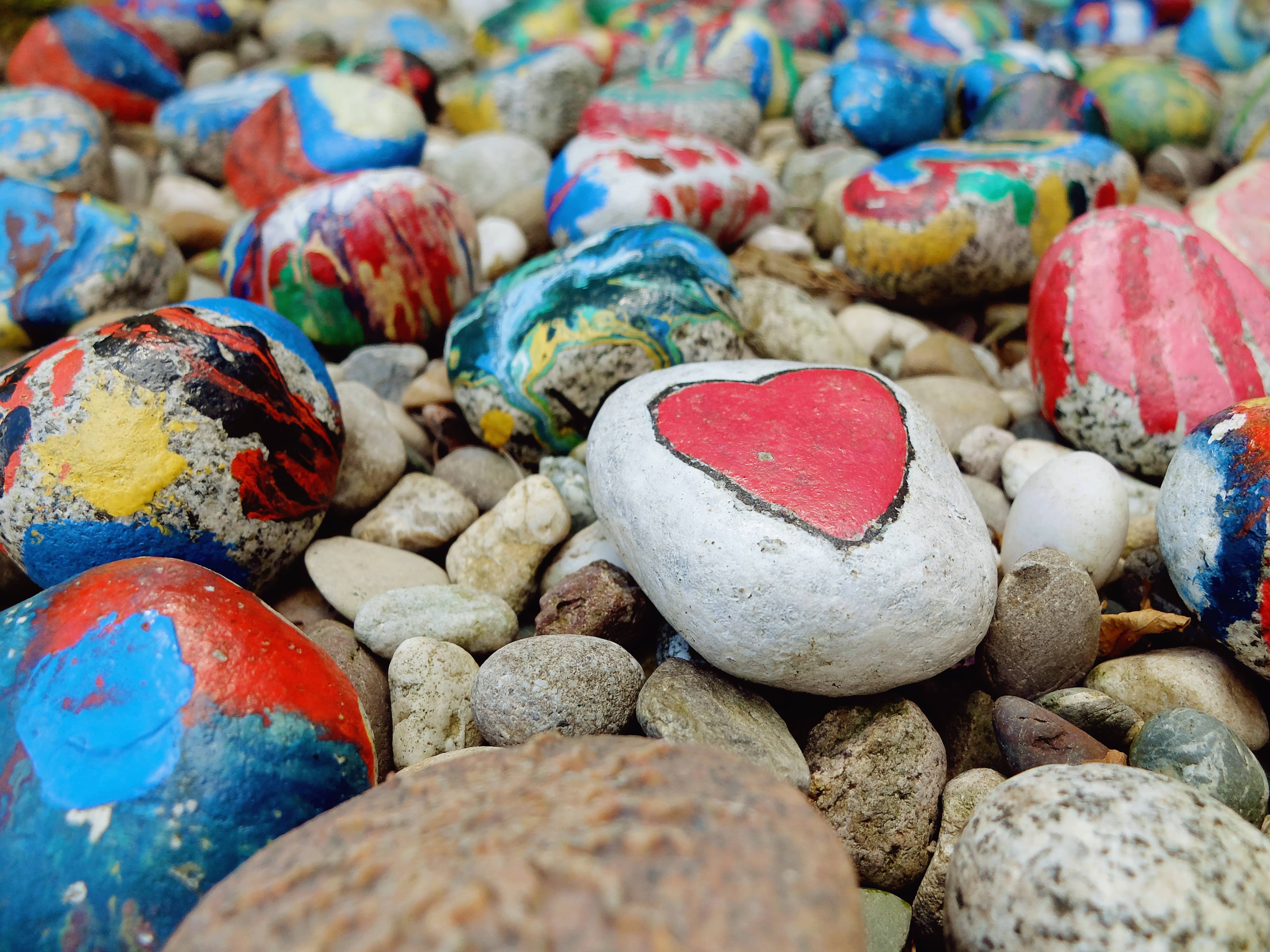 painted-rock-with-a-heart-on-display-in-a-garden-2021-10-16-23-39-10-utc