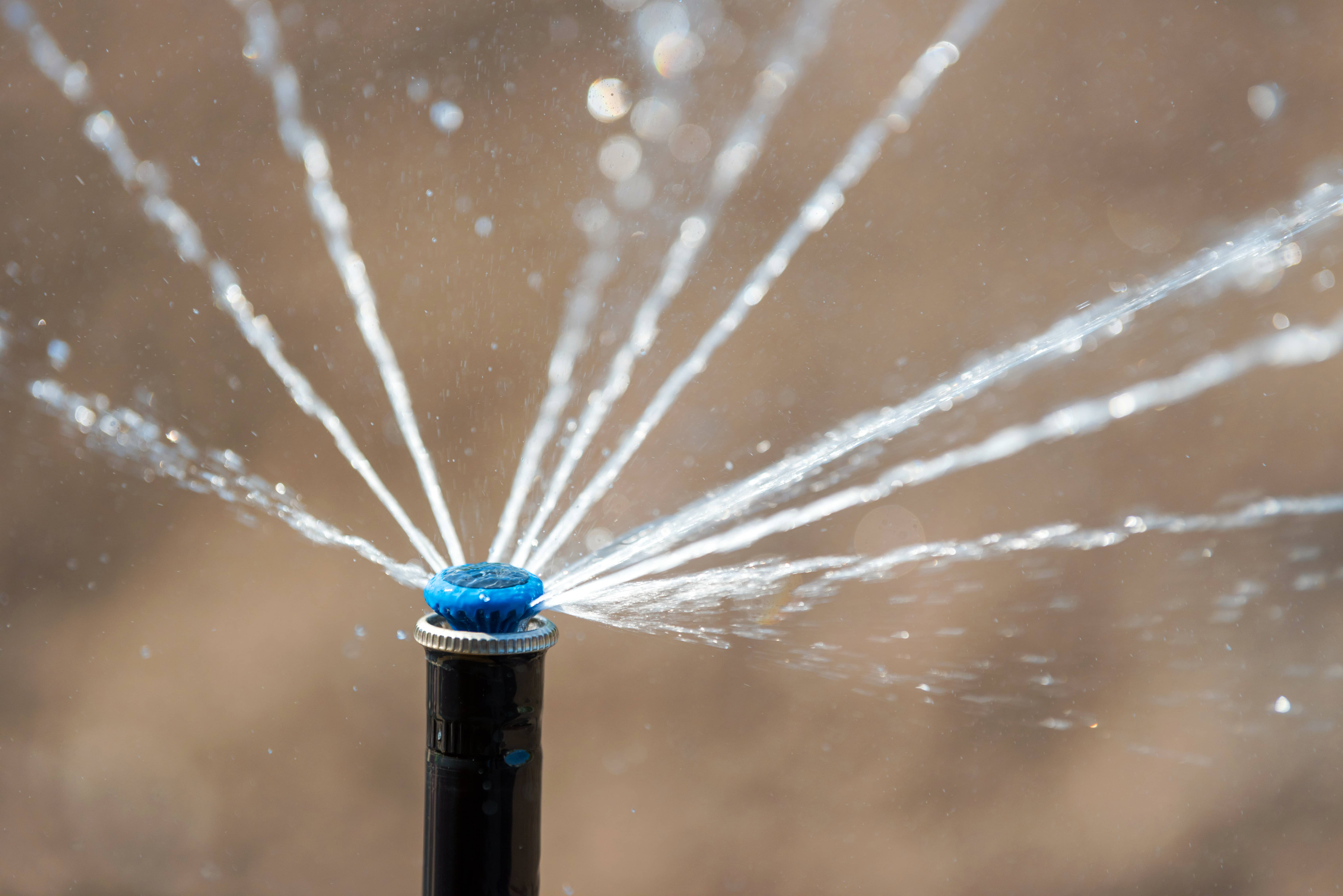 sprinkler-in-action-watering