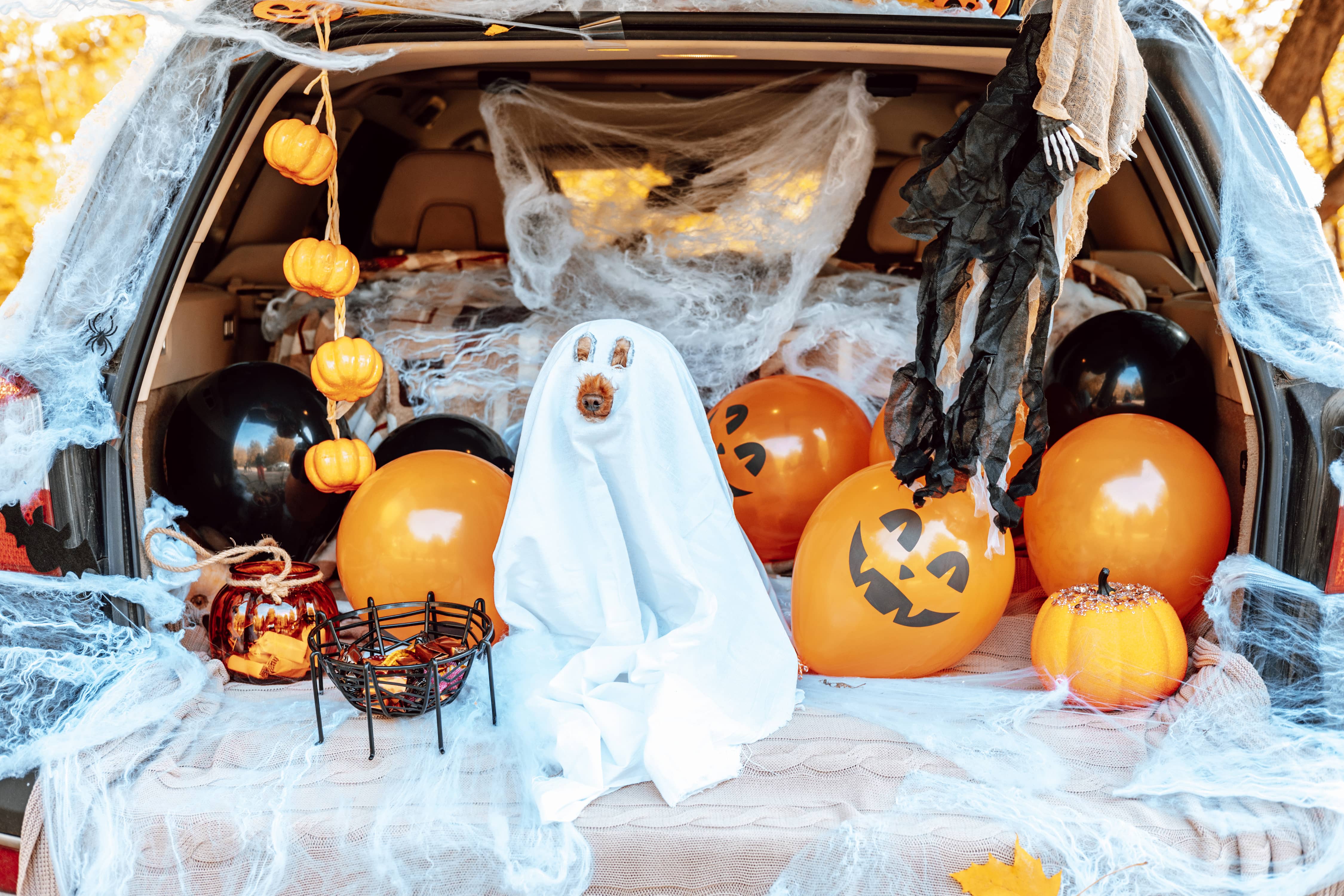 halloween-trunk-celebration-2022-08-01-03-56-33-utc