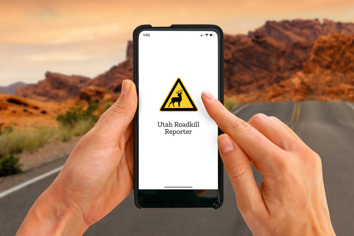 dwr-roadkill-app-img-mockup-1