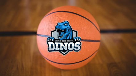 carbon-basketball