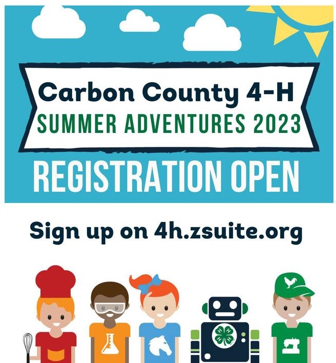 summer-4h-programs