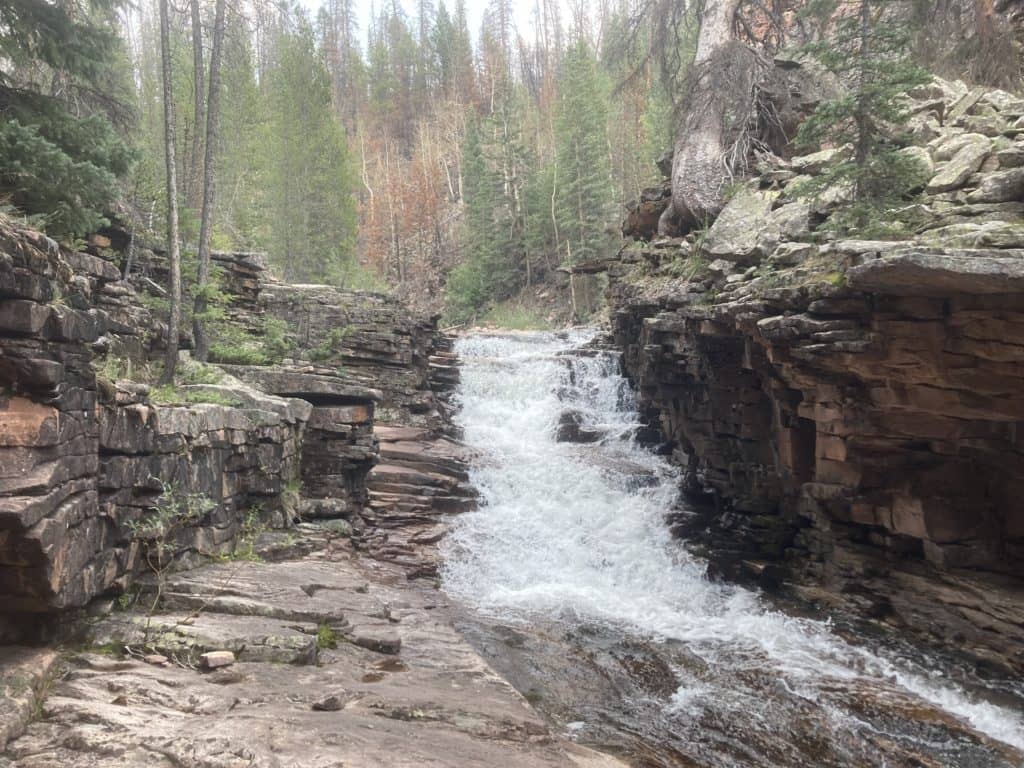 DWR conducting upcoming waterbody treatments in High Uintas to help ...