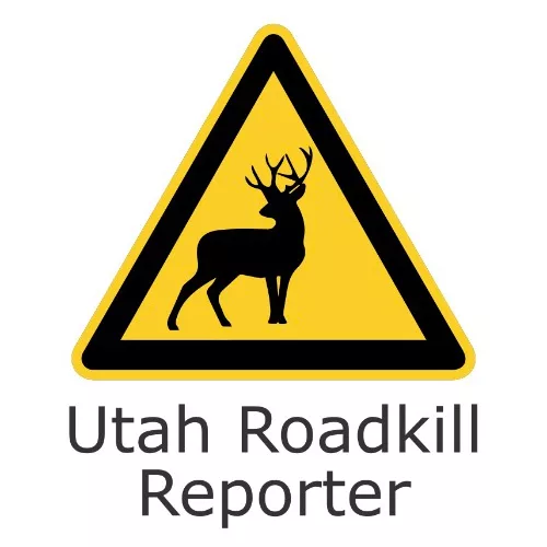 2022-12-08-roadkill-reporter-app-logo