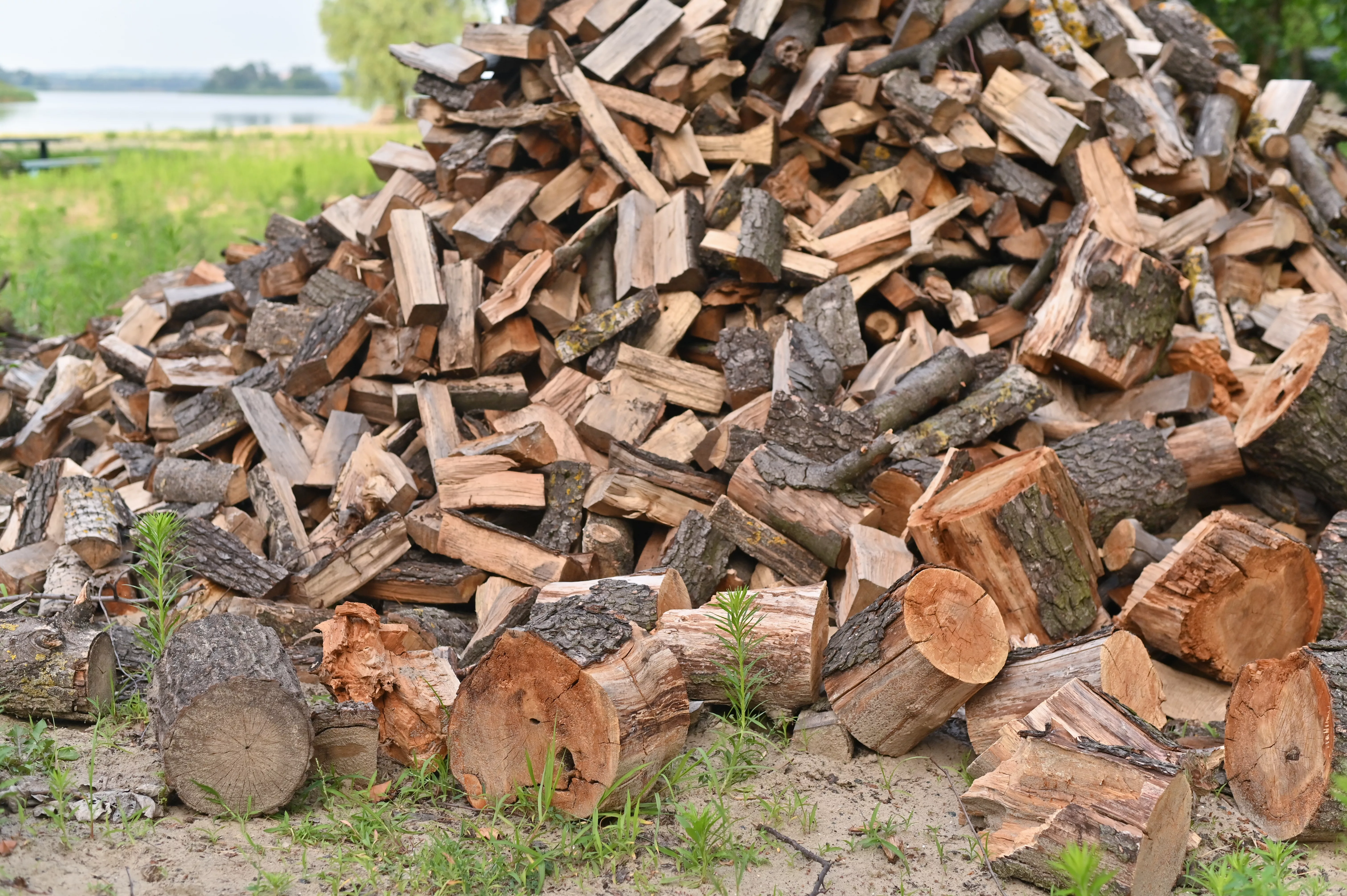 a-big-pile-of-firewood-eco-friendly-biofuels