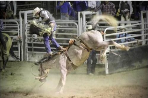 rodeo-4