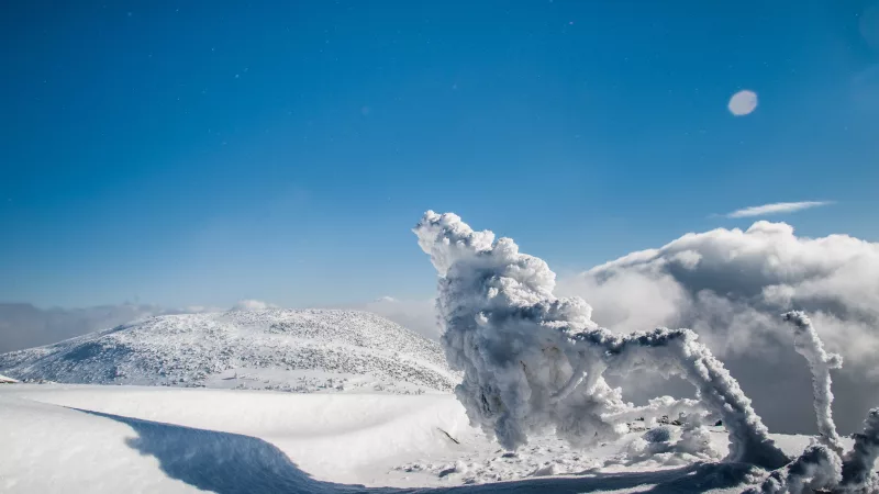 mysterious-winter-landscape-majestic-mountains-with-snow-covered-tree