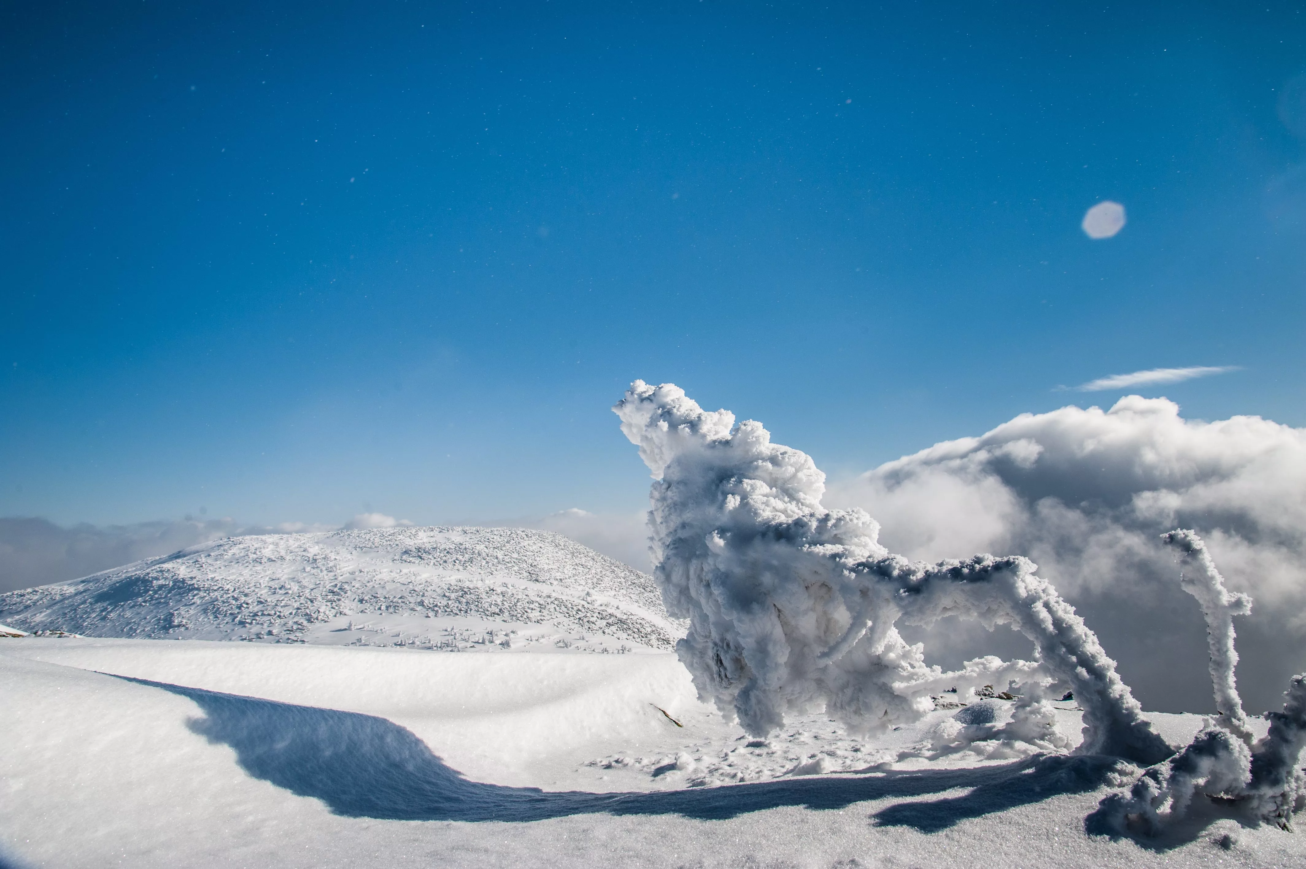 mysterious-winter-landscape-majestic-mountains-with-snow-covered-tree