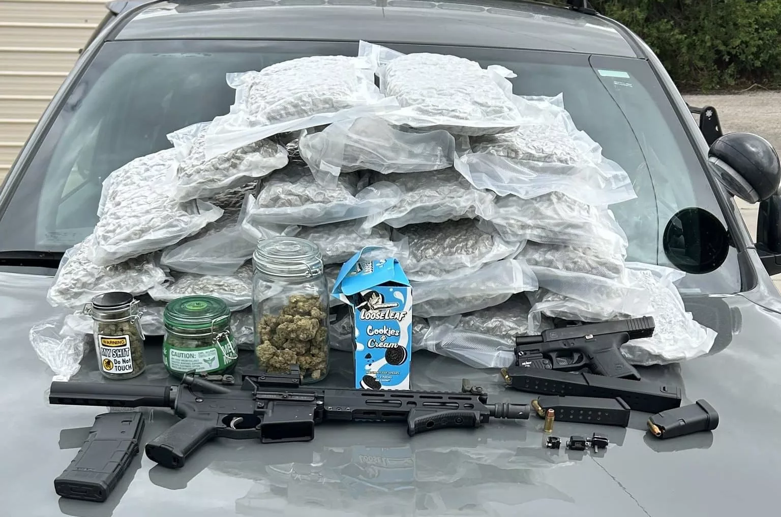 drugbust