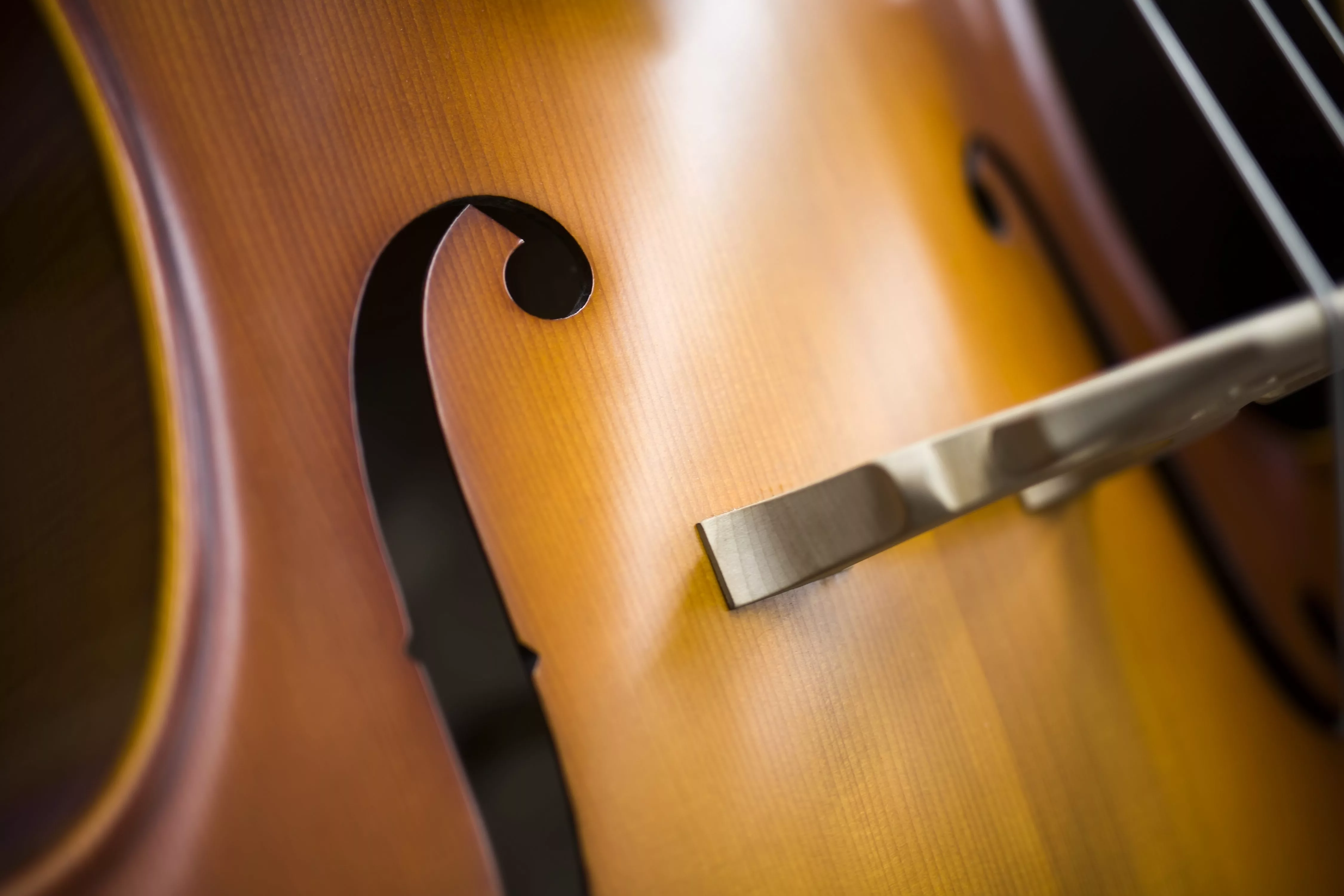 upright-bass-2
