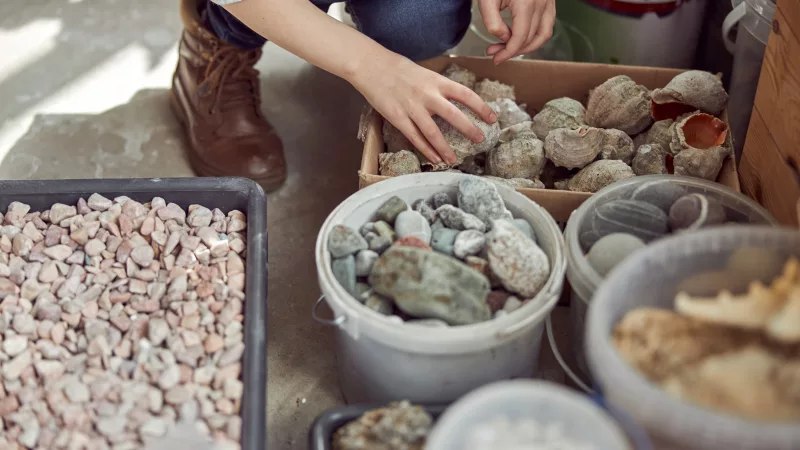 hands-of-young-caucasian-girl-who-is-working-to-do-a-composition-flourist-shop-with-different-kinds-of-dryed-flowers