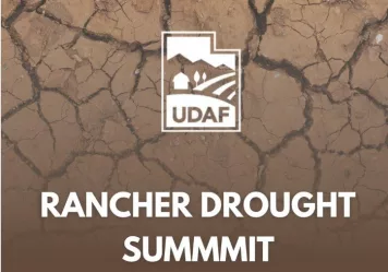 drought-summit