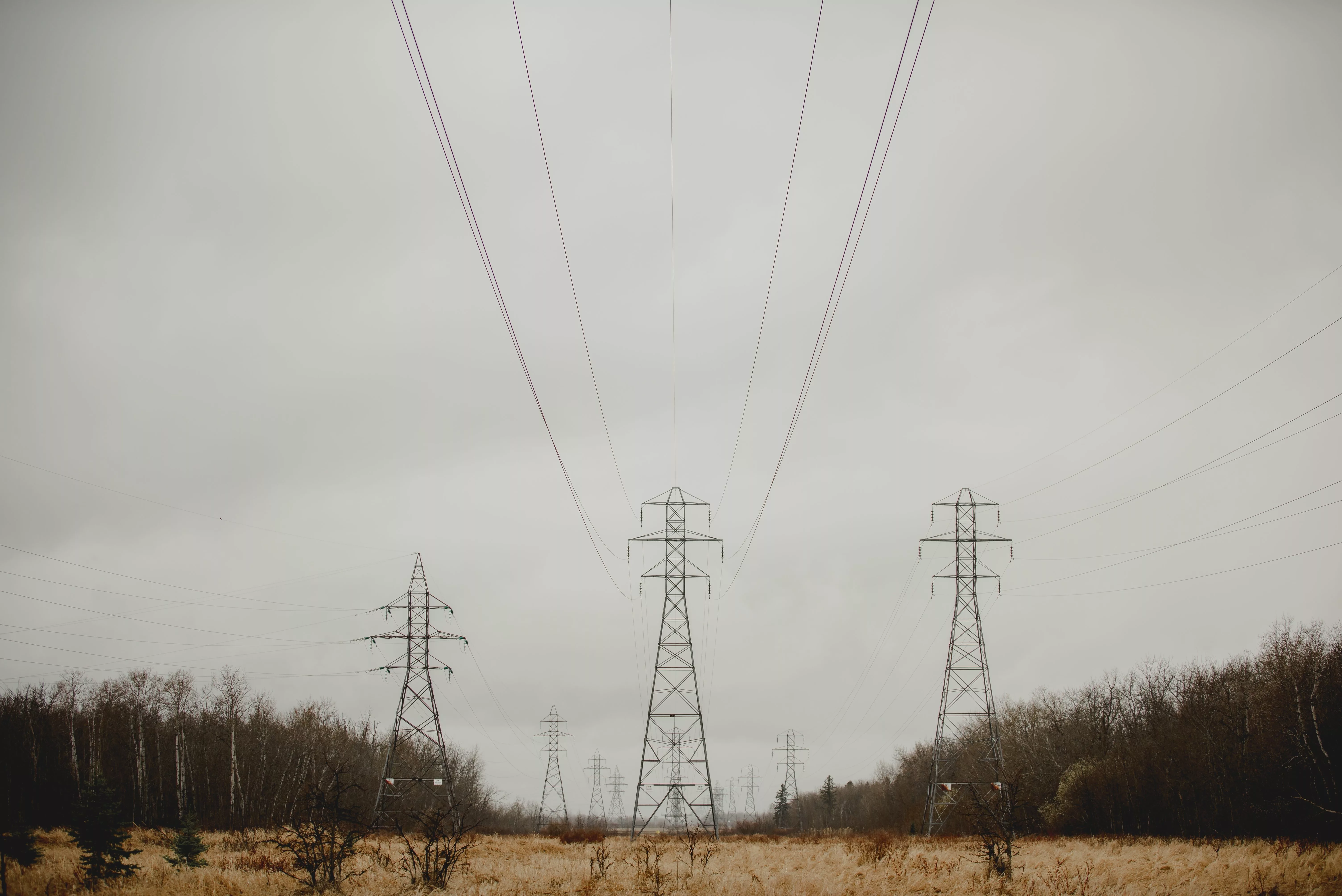 electric-power-lines-2024-12-06-13-35-08-utc