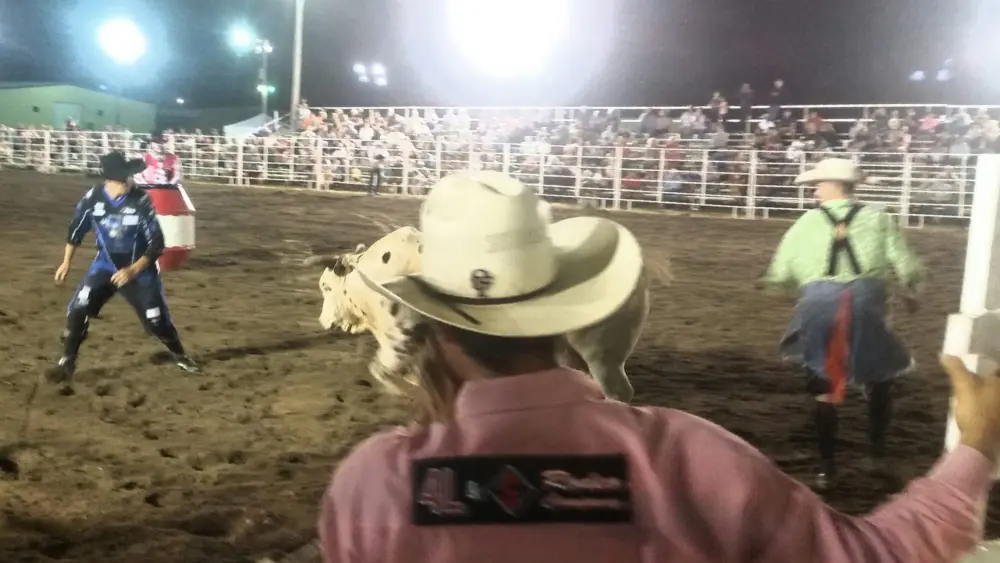 cowboy-on-horse-waiting-to-rescue-rodeo-performers-2025-02-15-17-30-38-utc