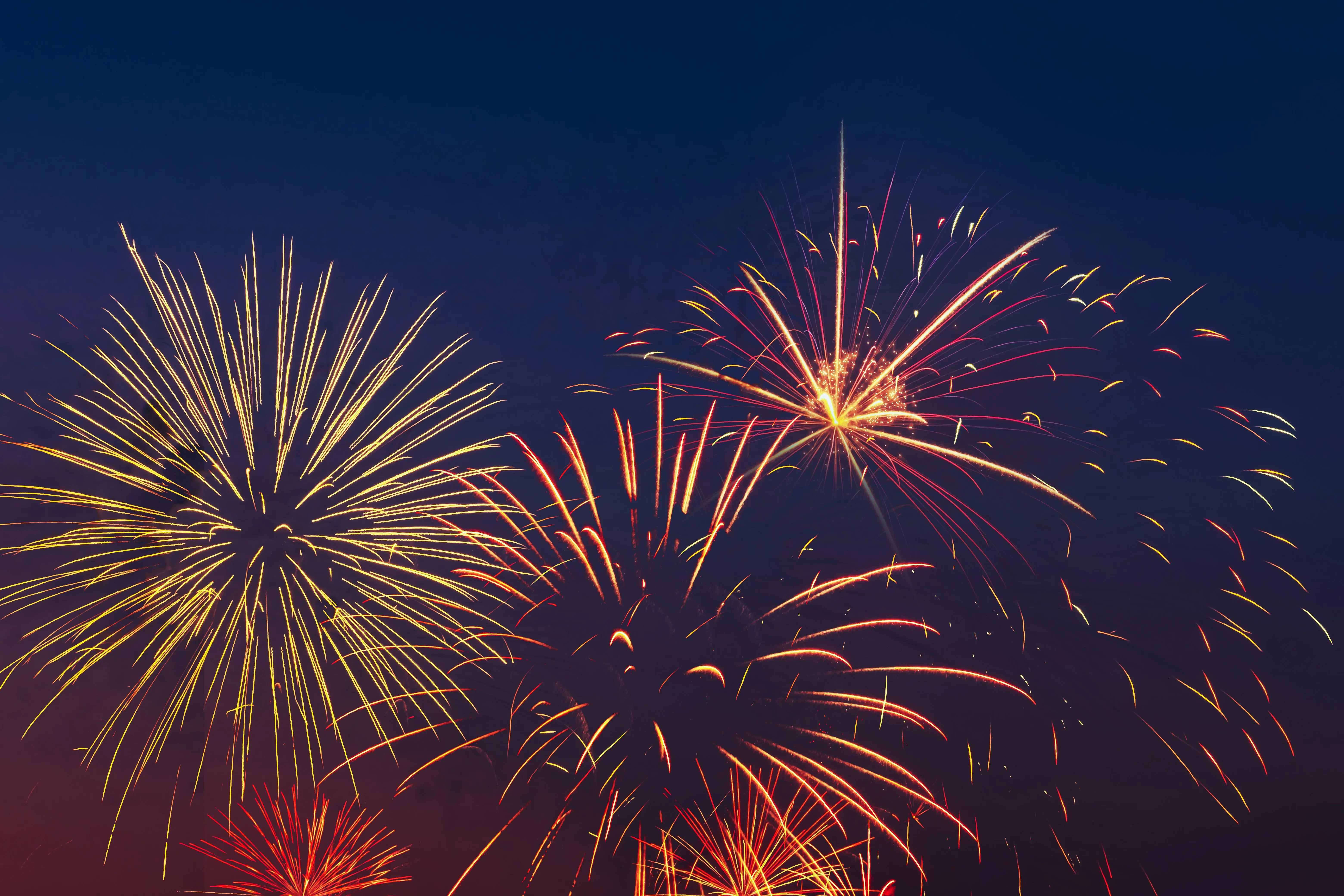colorful-fireworks-on-night-sky-background