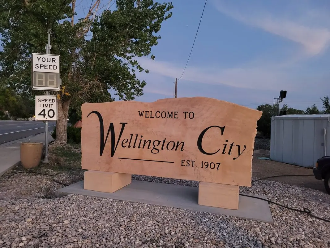 wellington-4