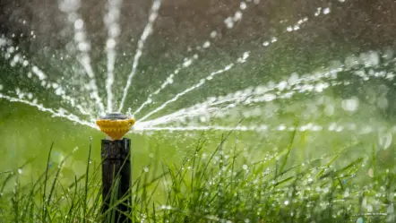 sprinkler-in-action-watering-grass