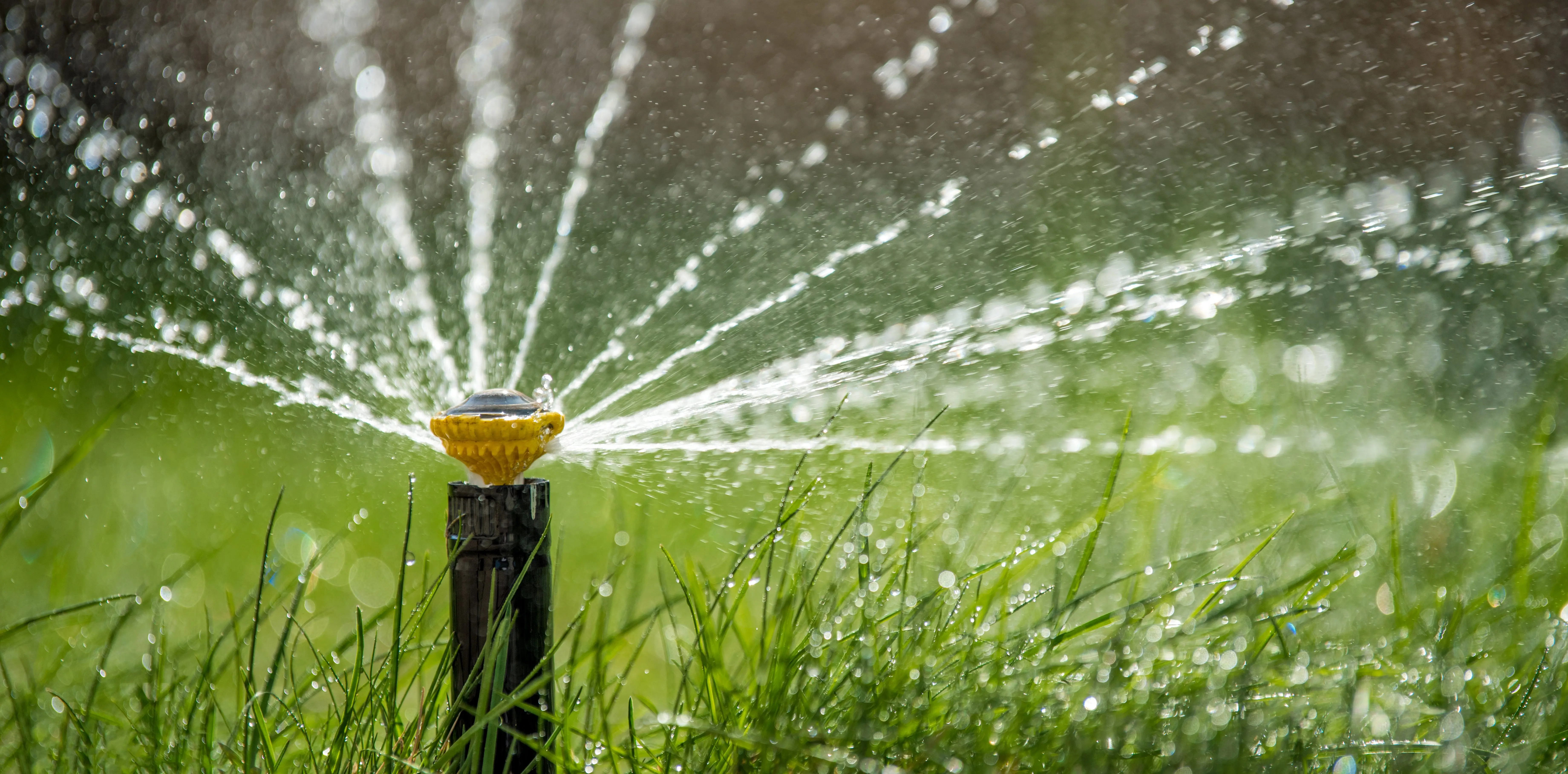 sprinkler-in-action-watering-grass