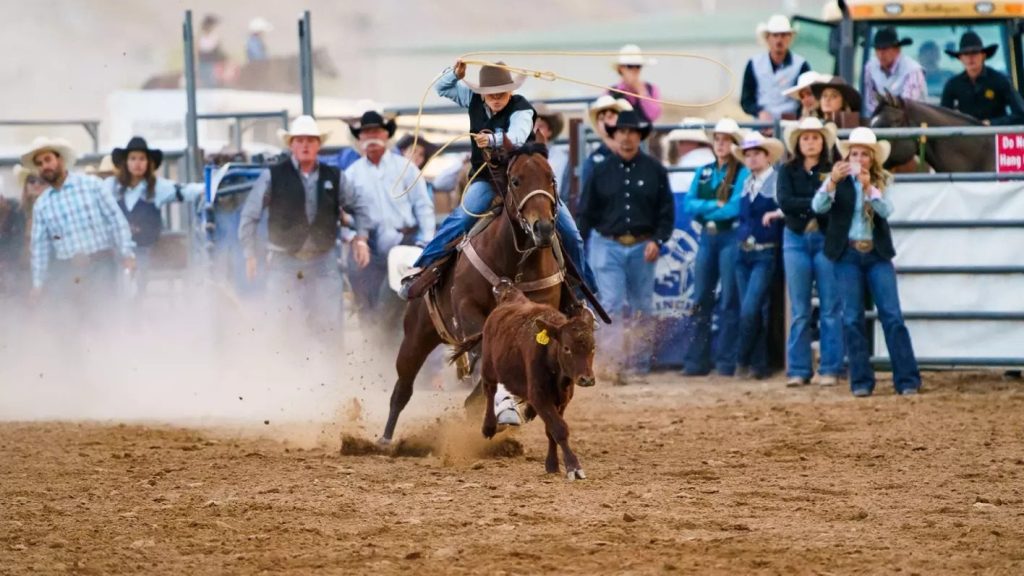 USU Eastern Rodeo Team Shines at Utah State in Logan | KOAl - Price,UT