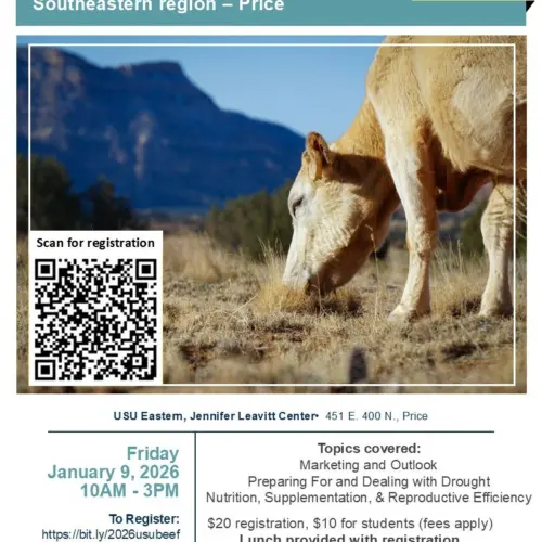 595130633_1450737229940994_8873904247640221384_n